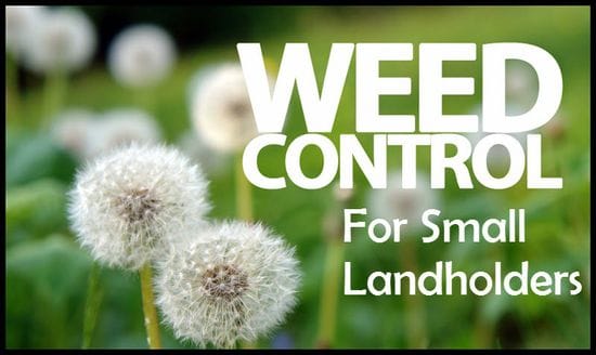 Weed Control for Small Landholders